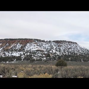 Meet your Posher, Richard